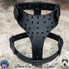 Y62 - Spiked Leather Dog Harness