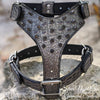 Y62 - Spiked Leather Dog Harness