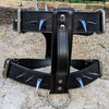 Y81 - Spiked Leather Dog Harness