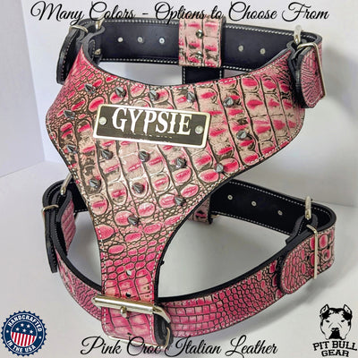 YN62 - Spiked Leather Dog Harness Personalized Name Plate