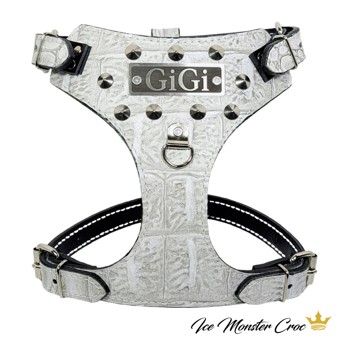 Dog harness with 'GiGi' branding on a white background