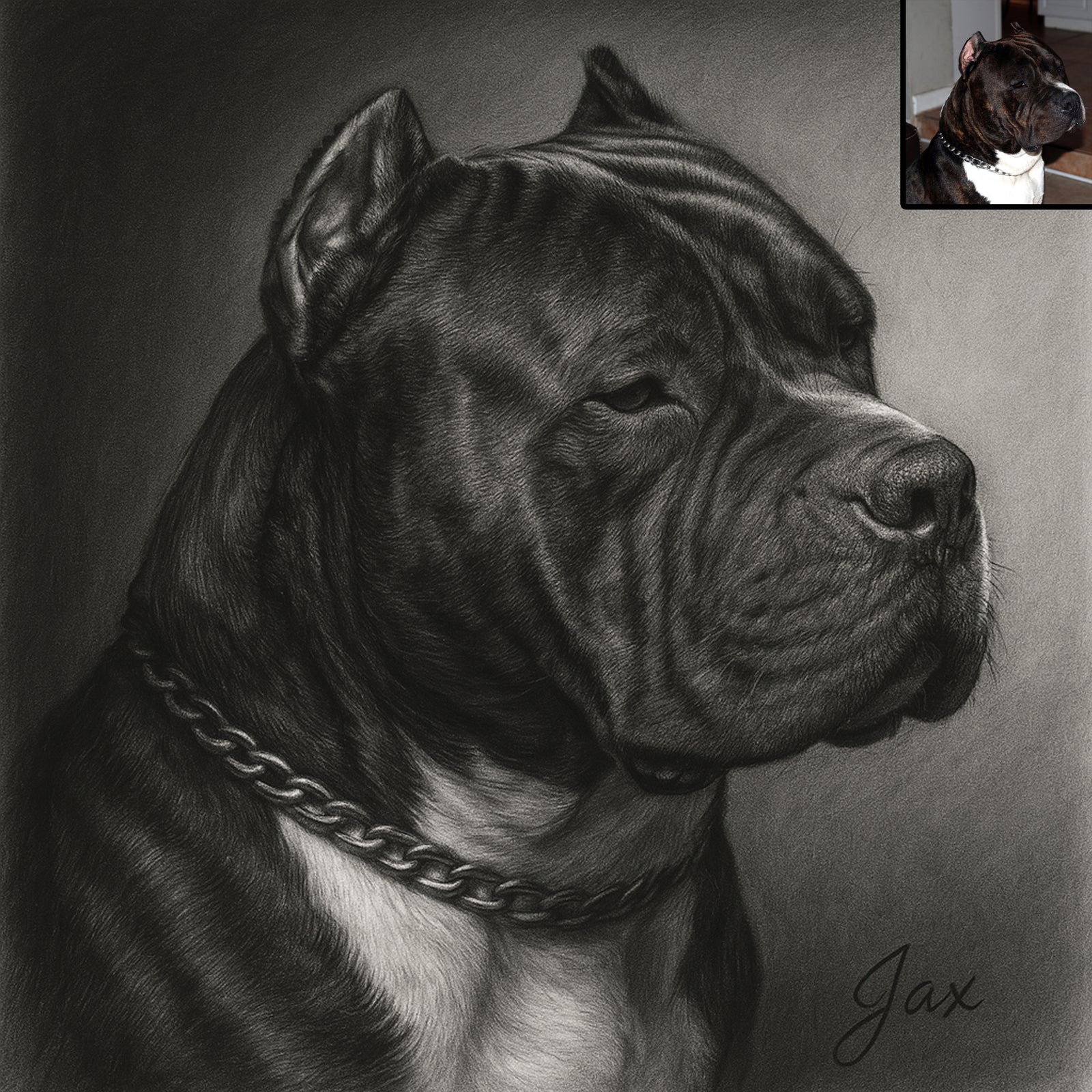 Custom Charcoal Style Pet Portrait – Digital Dog Art from Your Photo