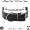 Leather Martingale Collar with Buckle, Training Collar 2" Wide - LM9