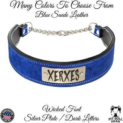 2 Wide Leather Martingale Dog Collar Personalized Name Plate Pit Bull Gear