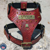 Spiked Leather Dog Harness Personalized Name Plate Heavy Duty - YN62