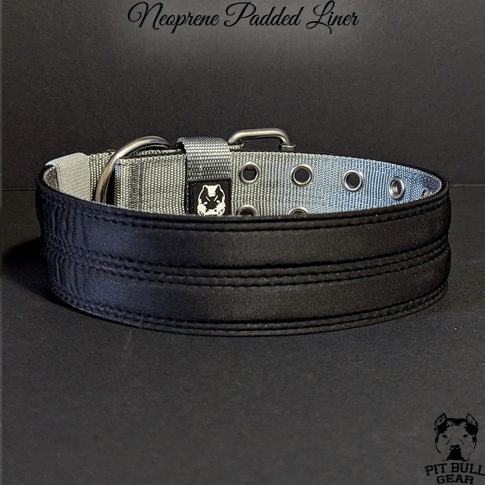 https://www.pitbullgear.com/cdn/shop/files/nylondogcollar_nl2_steel3_2000x.jpg?v=1688668295