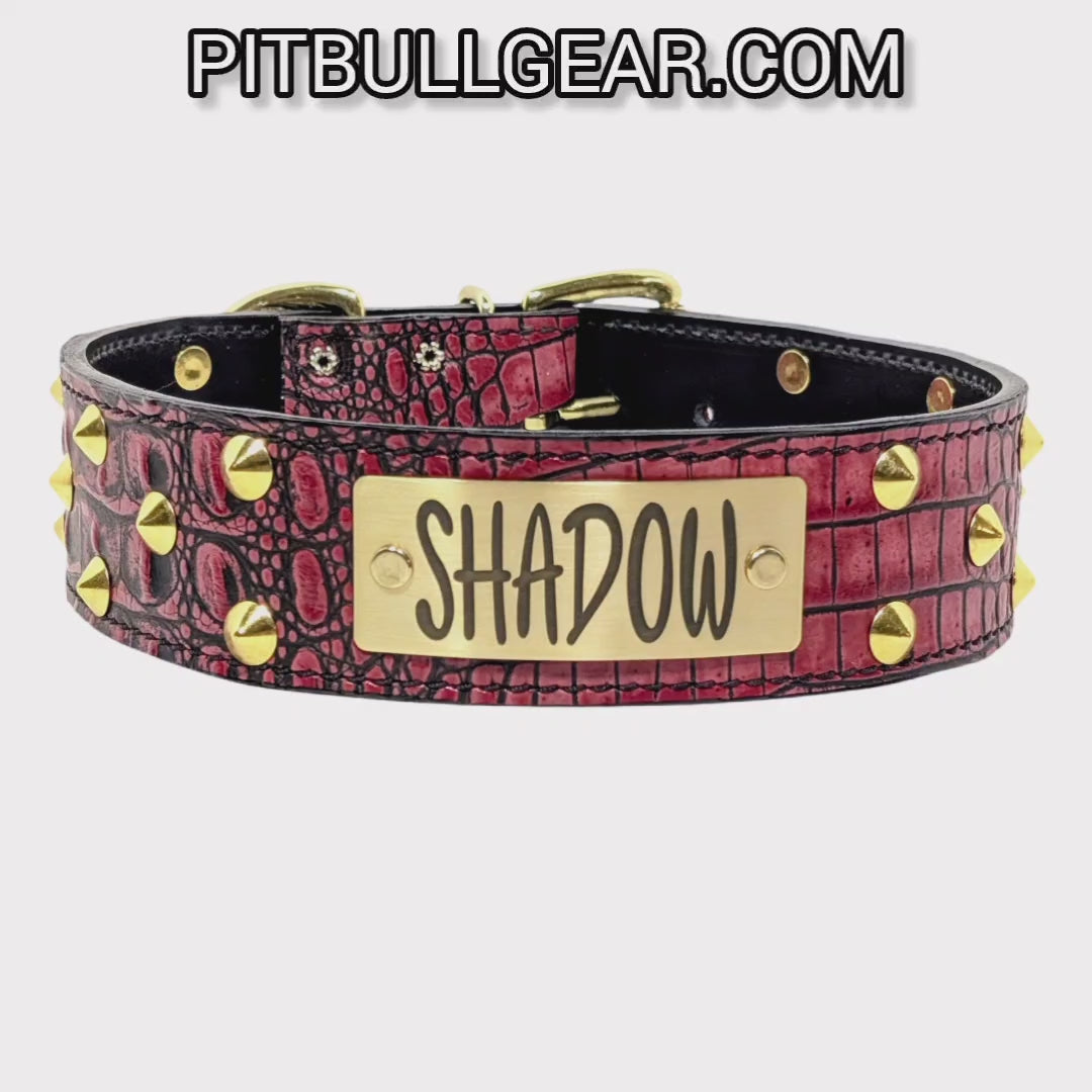 WN1 - 2" Wide Personalized Leather Dog Collar with Studs