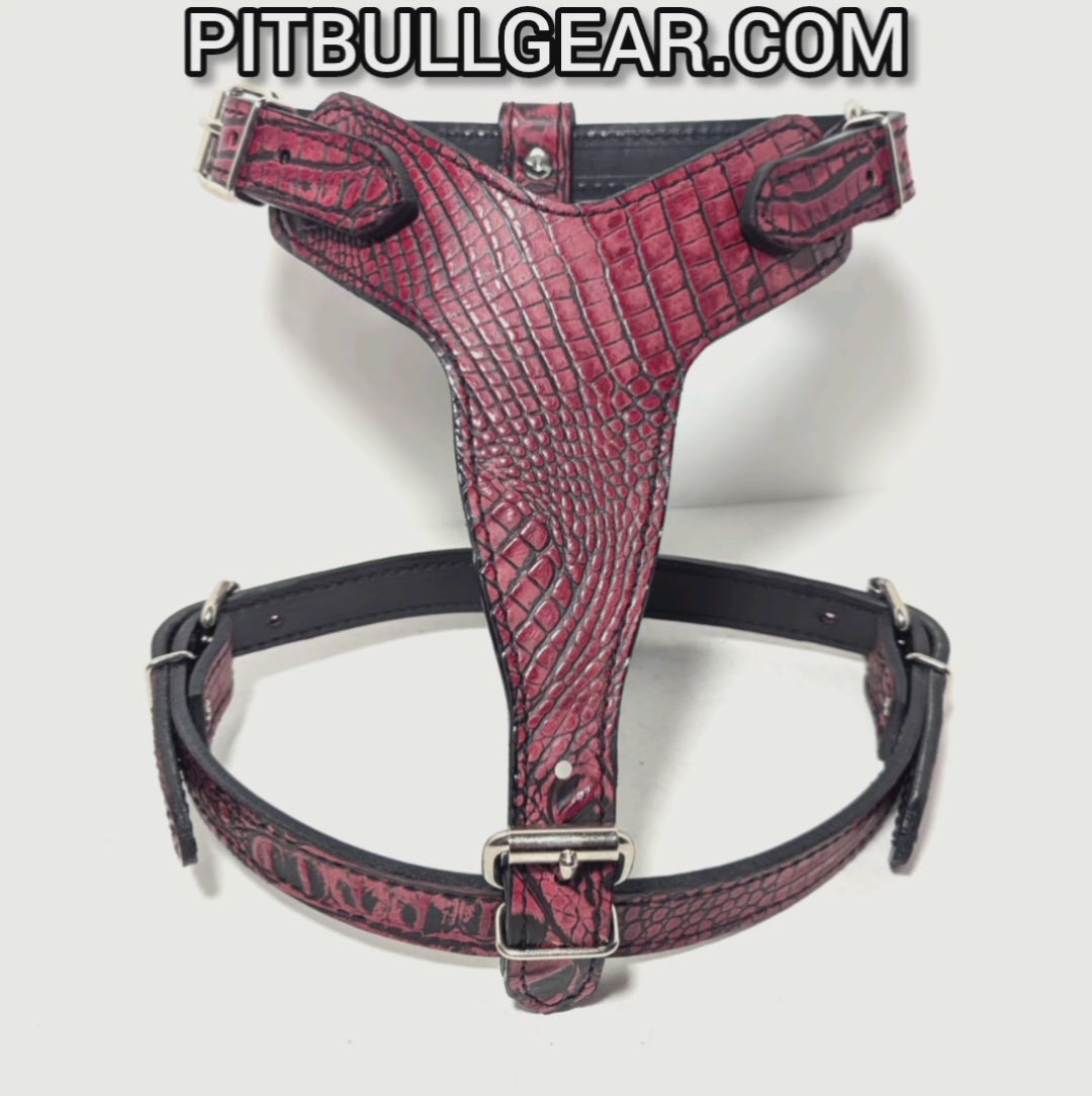 SCH - Sport Cut Leather Dog Harness
