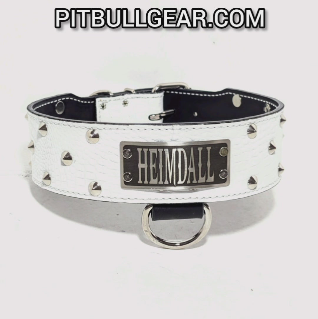 NJ4 - 2.5" Wide Personalized Leather Dog Collar with Cone Studs