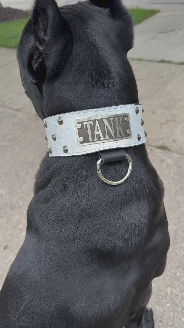 NJ4 - Collar de cuero para perros de 2,5" con tachuelas cónicas y placa con nombre