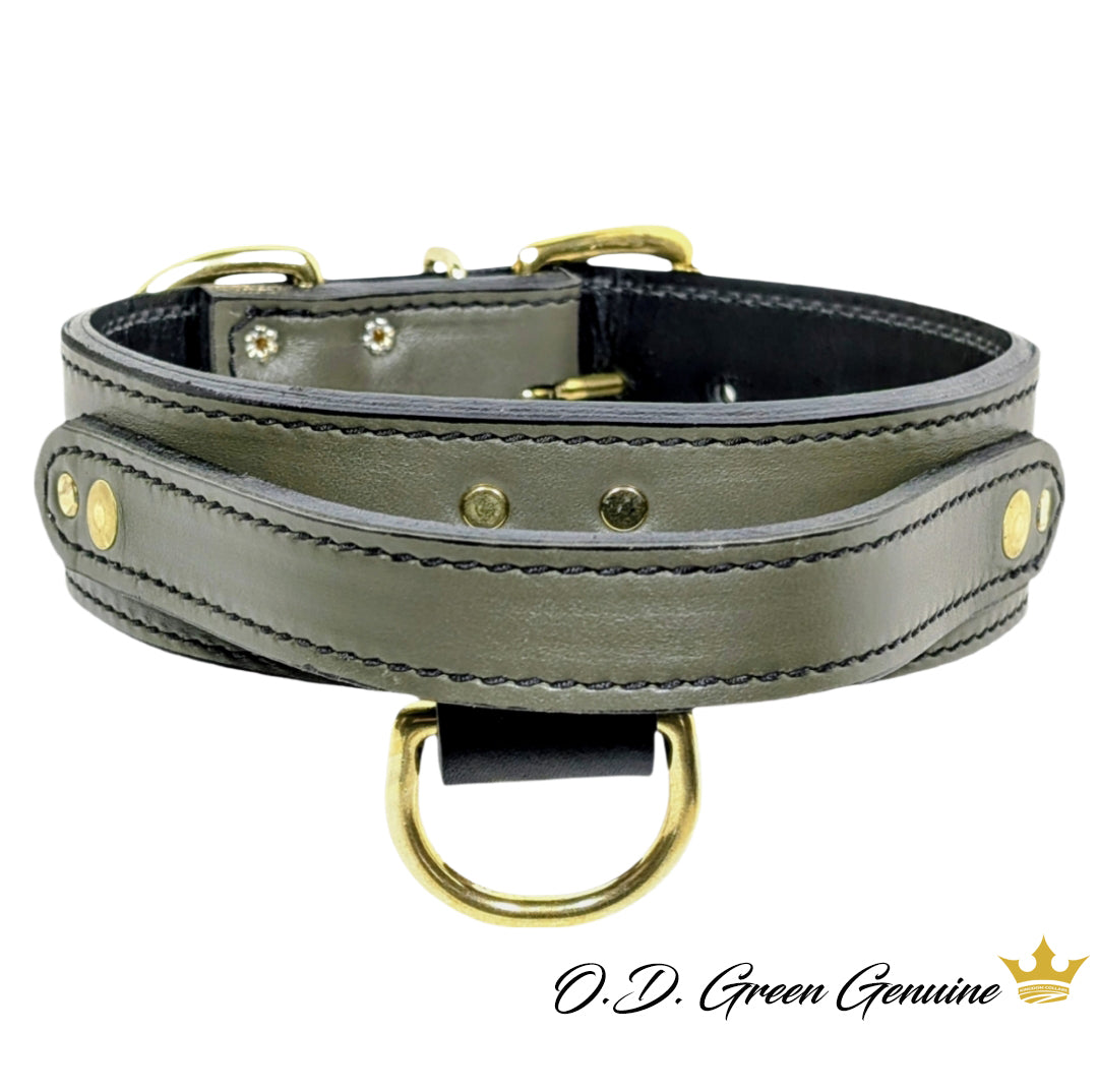 AGT1 - 2" Wide Leather Agitation Dog Collar with Handle