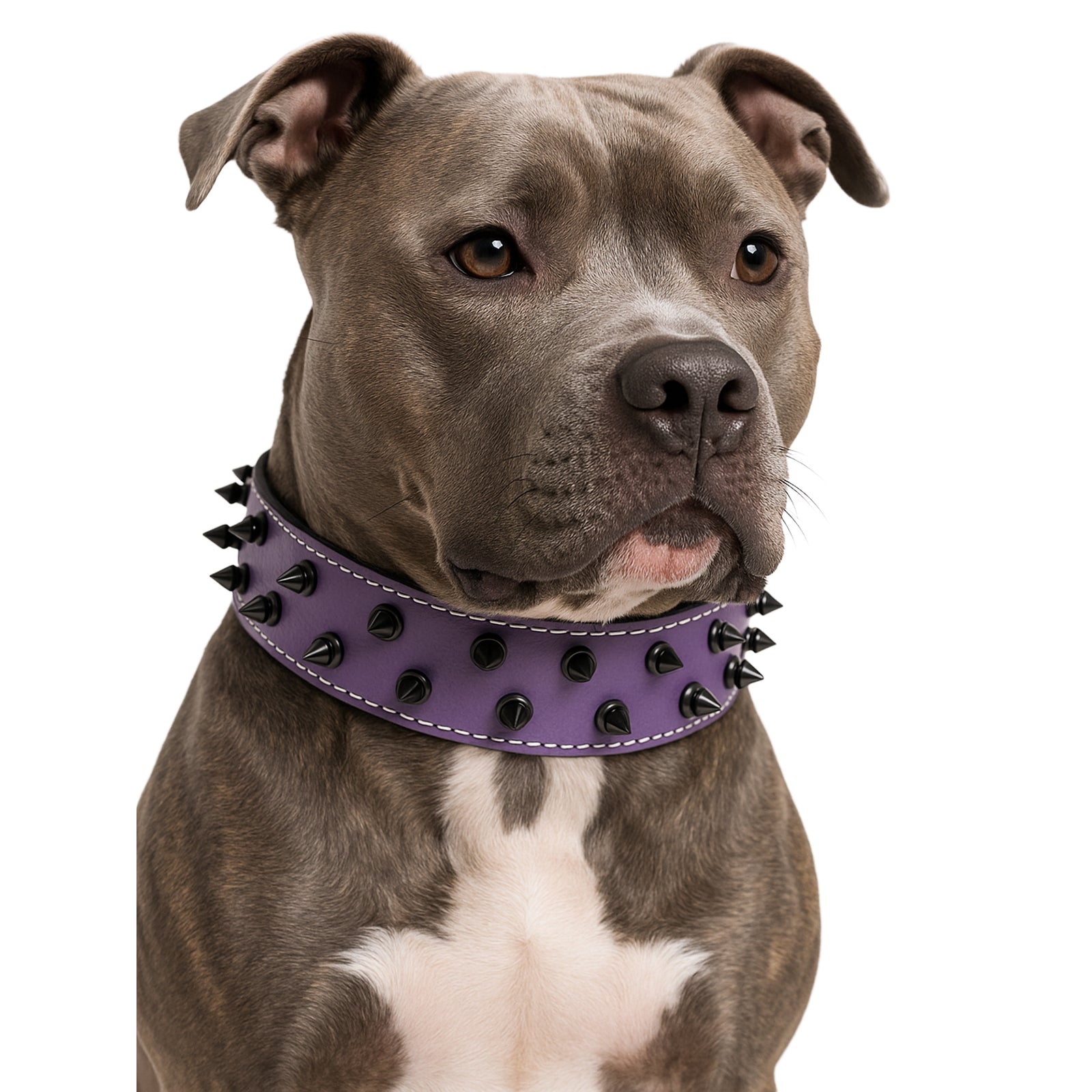 V37 - Custom Made 1.5" Wide Spiked Leather Dog Collar