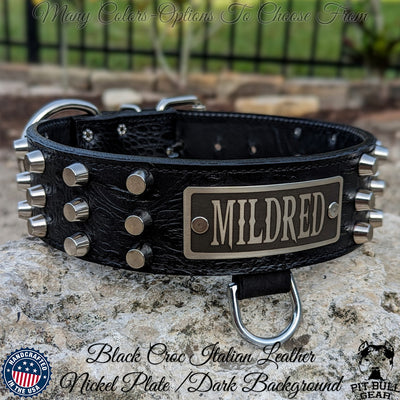 W48 - 2" Personalized Name Plate Bucket Studded Leather Dog Collar