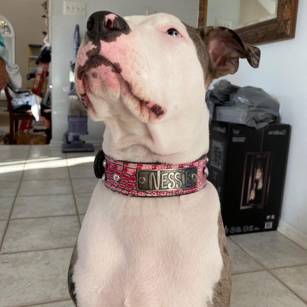N11 - Collar de cuero para perros de 1,5" de ancho con placa de identificación y gemas