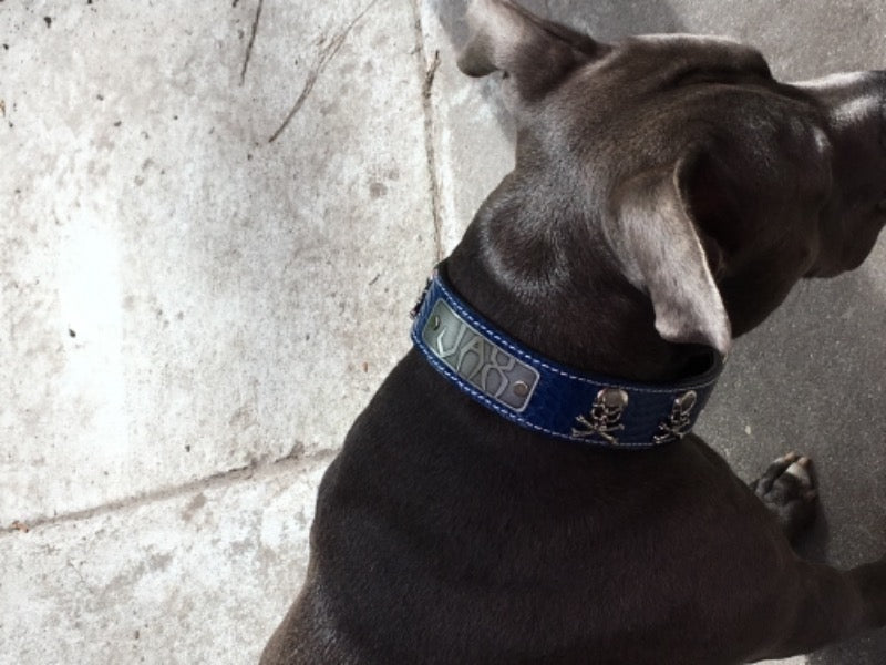 VN47 - Collar de cuero personalizado para perros de 1,5" de ancho con calavera y huesos cruzados