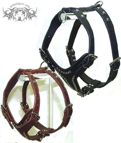 2-Ply Latigo Leather Dog Harness w/Studs - Pit Bull Gear