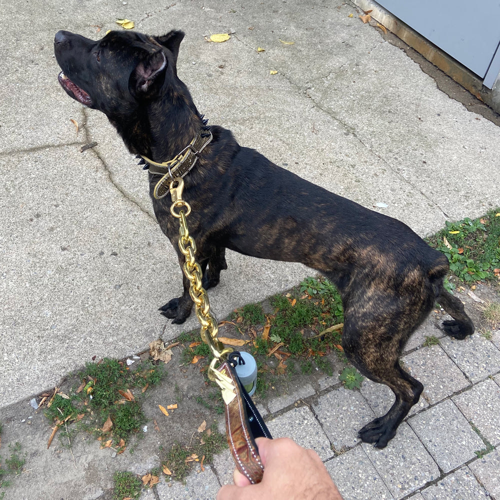 Spiked Leather Handle Super Heavy Gold Chain Lead #3 - 30"