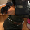 N14 - 1 1/2" Name Plate Spiked Leather Dog Collar - 2