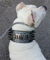 NX2 - 3" Name Plate Spiked Leather Dog Collar