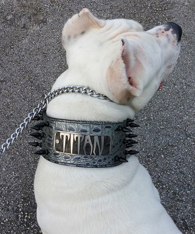 NX2 - 3" Name Plate Spiked Leather Dog Collar