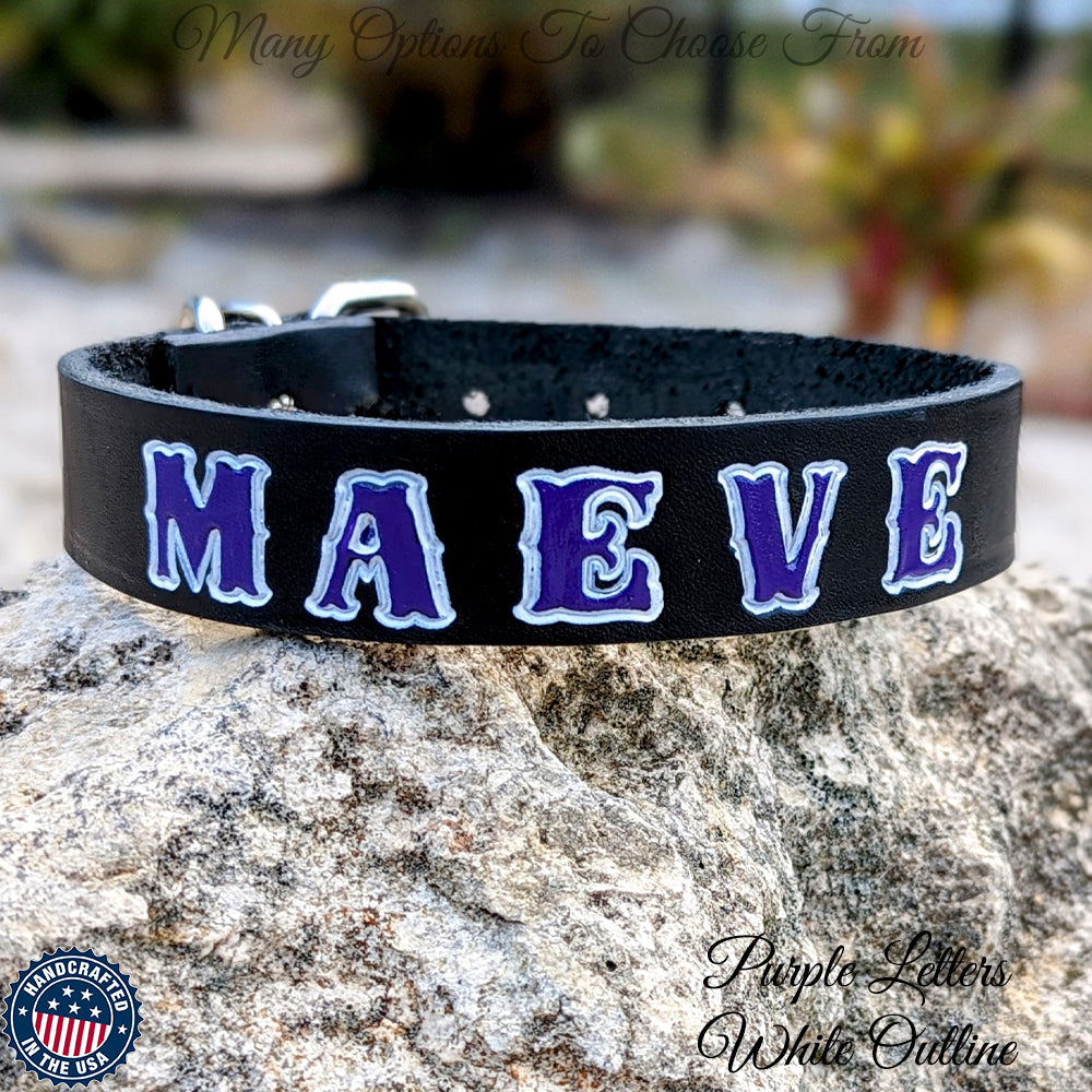 N1 - 1" Wide Black Latigo 1-Ply Leather Hand Painted Collar