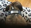W50 - 2" Personalized Bullet Studded Collar