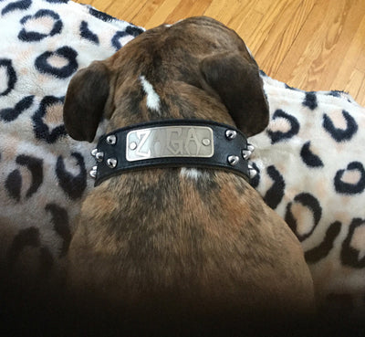 W50 - 2" Personalized Bullet Studded Collar