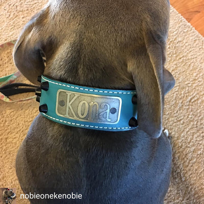 Leather Dog Collar Personalized Name Plate Studded 2" Wide - WN4