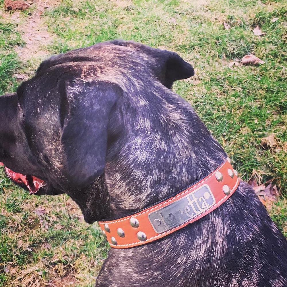 N13 - Collar de cuero para perro de 1,5" de ancho, nombre personalizado con tachuelas en forma de cúpula