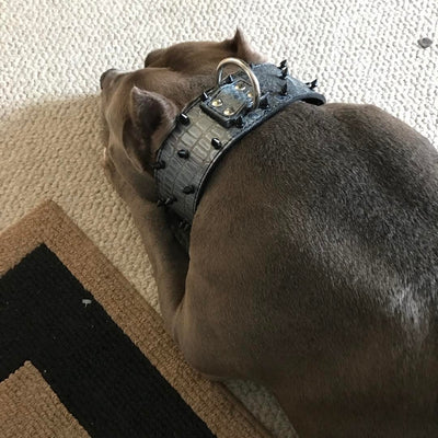 X10 - 3" Spiked Leather Dog Collar