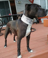 Leather Dog Collar, Heavy Duty Dog Collar, Handcrafted 3" Wide - X1