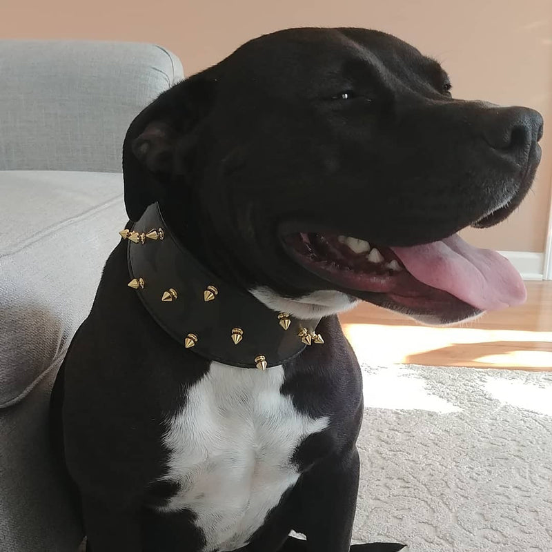 X10 - Coleira de cachorro de couro pontiagudo de 3"