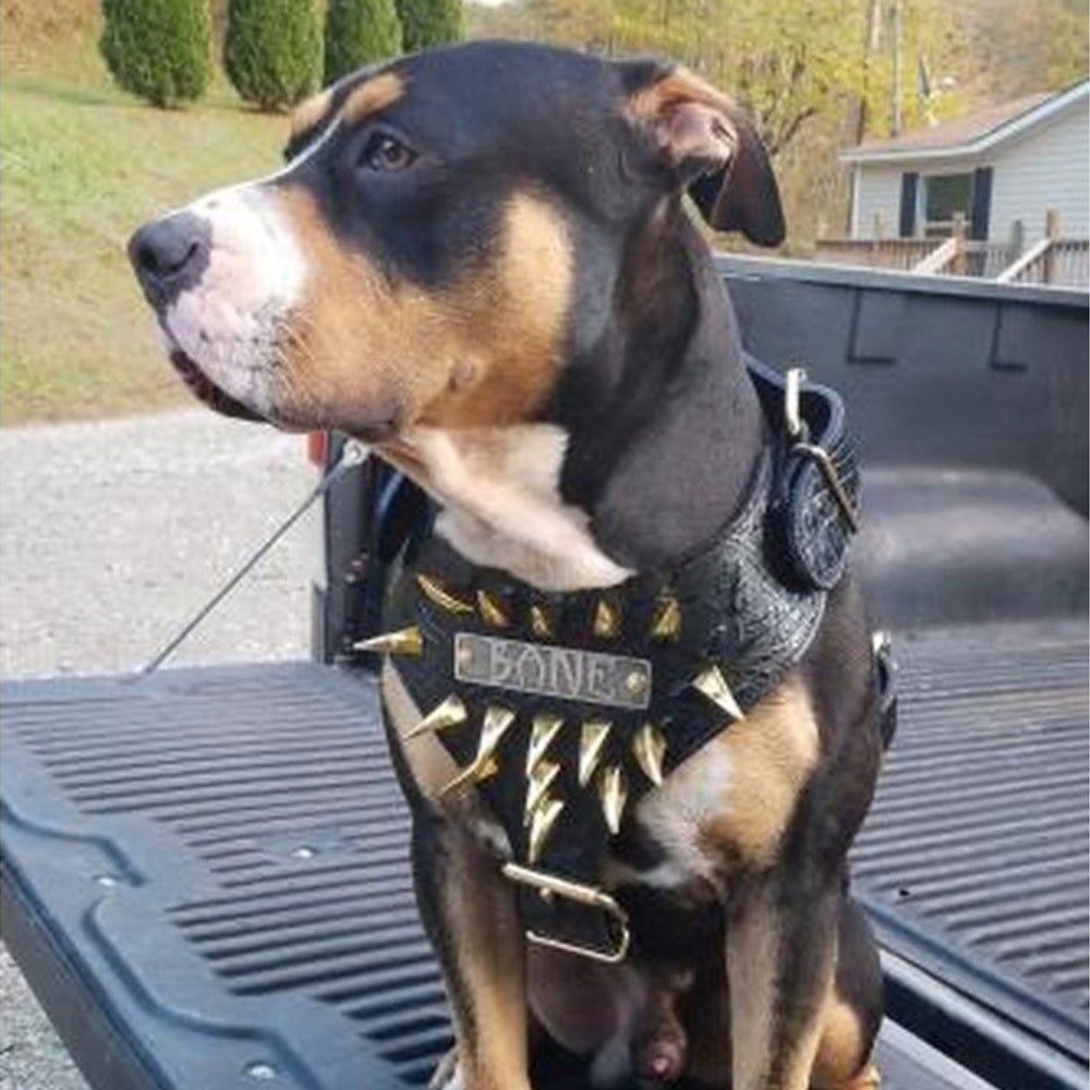 NH7 - Personalized Leather Dog Harness with Claw Spikes