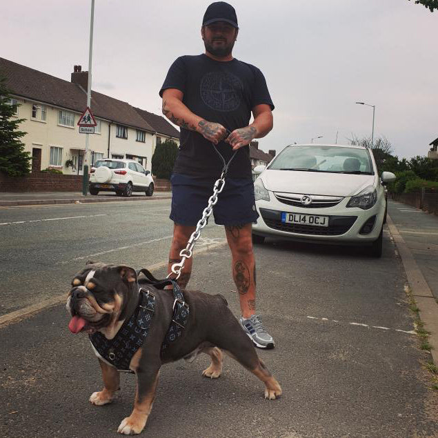 H1 - Custom Made Leather Dog Harness