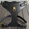 French Bulldog Leather Harness
