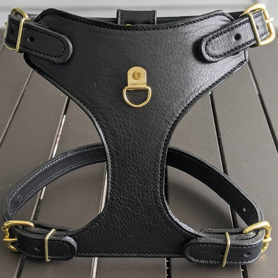 French Bulldog Leather Harness