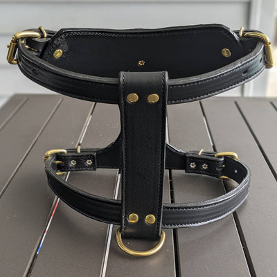 French Bulldog Leather Harness