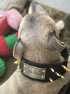 NX2 - 3" Name Plate Spiked Leather Dog Collar