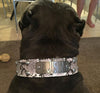 N10 - Name Plate 1 1/2" Studded Leather Dog Collar - 4