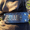 N12 - 2" Name Plate Studded Leather Dog Collar - 5
