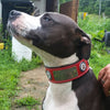 W51 - 2" Personalized Military Leather Dog Collar
