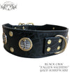 J6 - 2 1/2" Military Themed Leather Dog Collar