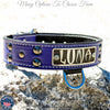 Leather Dog Collar Personalized Name Plate Studded 1.5" Wide - N10