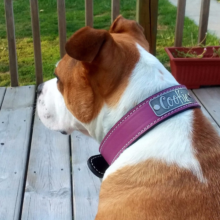 N7 - 1.5" Wide Leather Dog Collar Personalized Name Plate