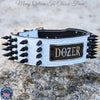 Spiked Leather Dog Collar, Personalized Name Plate, 2.5" Wide - NJ10