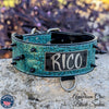 NJ2 - 2 1/2" Name Plate Spiked Collar
