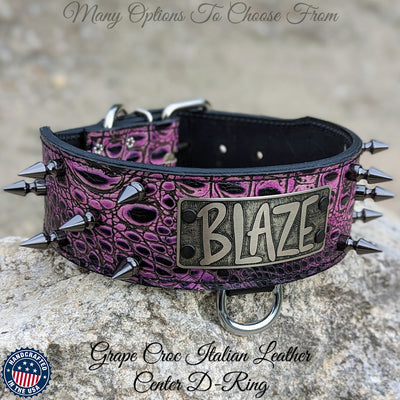 NJ5 - 2 1/2" Personalized Spiked Collar