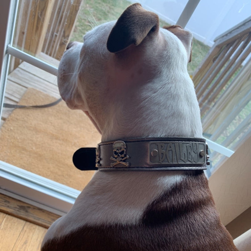 VN47 - Collar de cuero personalizado para perros de 1,5" de ancho con calavera y huesos cruzados