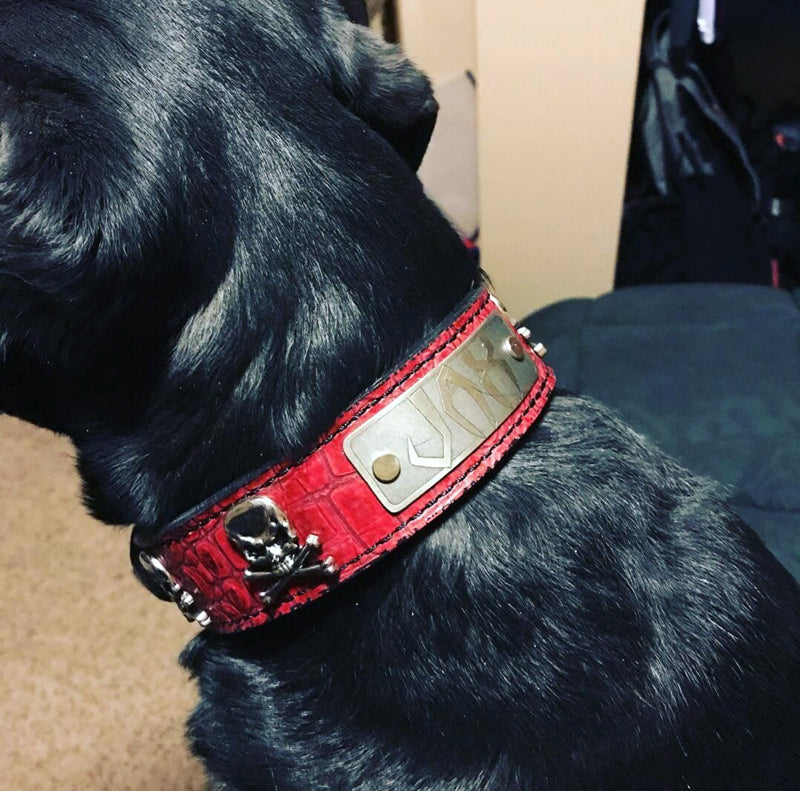 VN47 - 1.5" Wide Personalized Leather Dog Collar with Skull & Crossbones