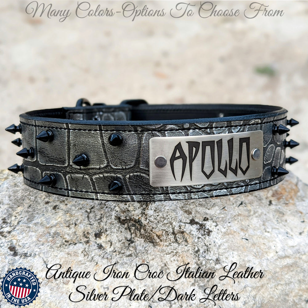 W46 - 2" Spiked Leather Dog Collar with Personalized Name Plate
